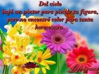 /album/fotogaleria/del-cielo-jpg/